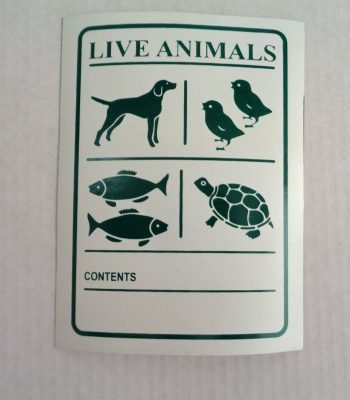 ANIMALES VIVOS (1)