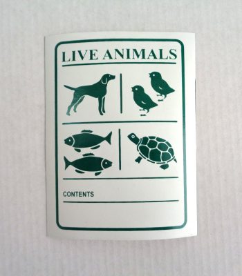 ANIMALES VIVOS (2)