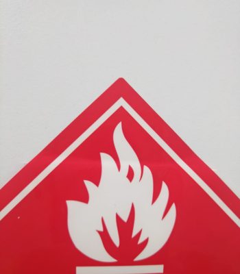 WhatsApp Image 2025-06-26 at 11.35.19 AM (3)